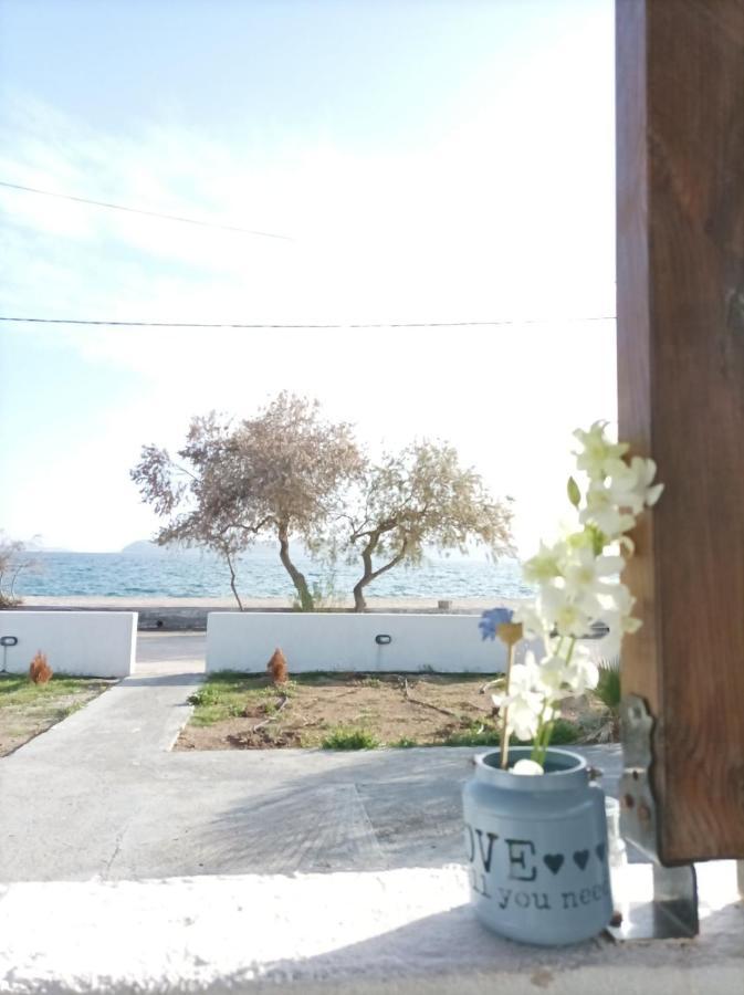 V&E'S Apartments Pigadhia  Luaran gambar